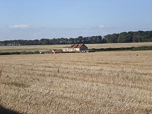 Early Estate Planning Important for Farmers